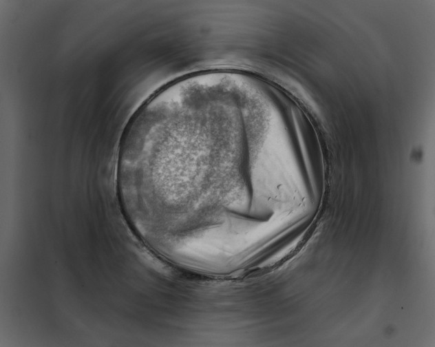 X0000102011228200808081716