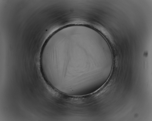 X0000102011229200808081716