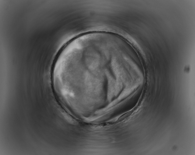 X0000102011230200808081716