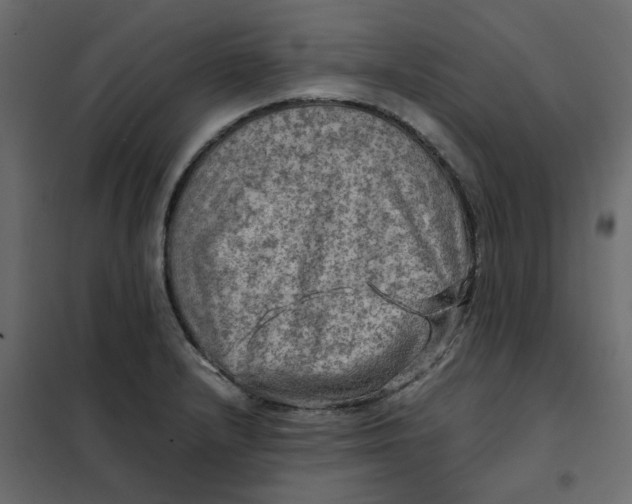 X0000102011232200808081717