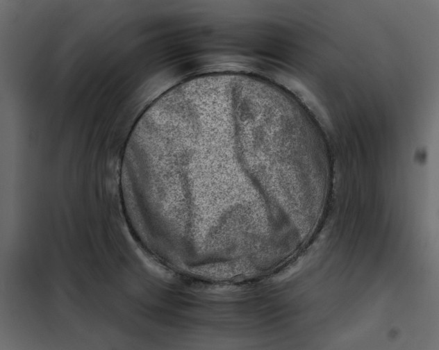 X0000102011233200808081717