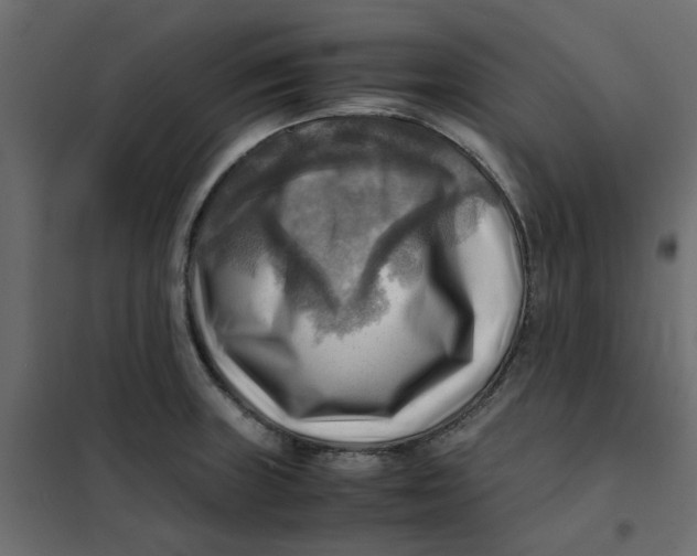 X0000102011235200808081717