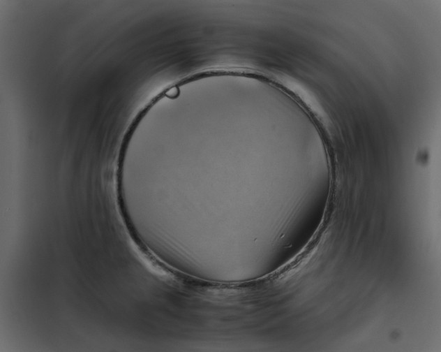 X0000102011237200808081717