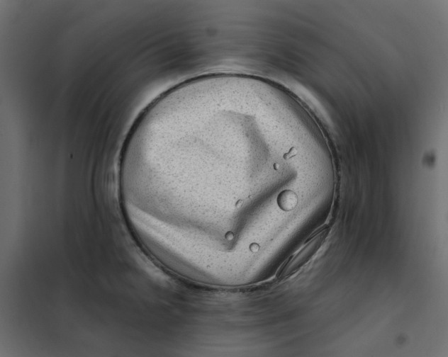 X0000102011238200808081717