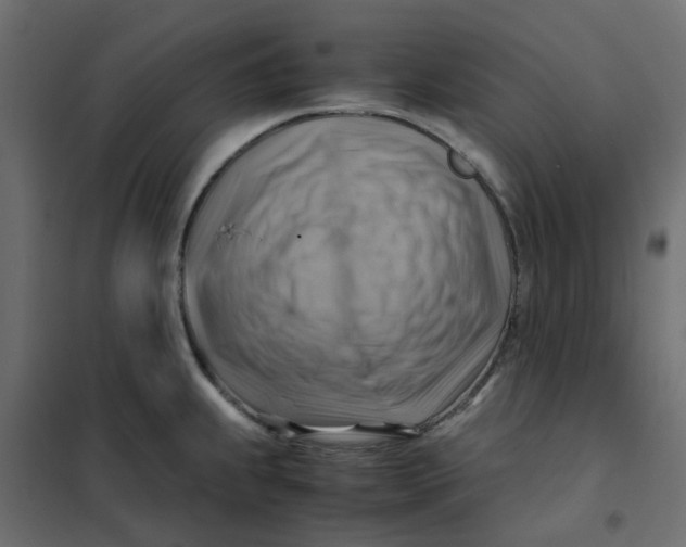 X0000102011239200808081717