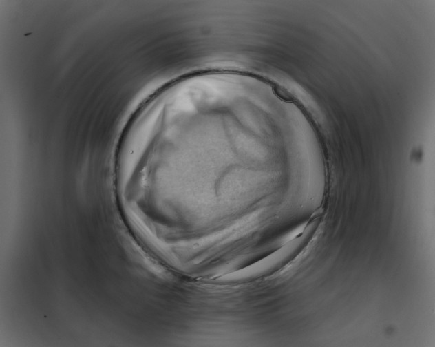 X0000102011240200808081717