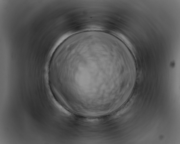 X0000102011243200808081717