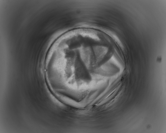 X0000102011247200808081717