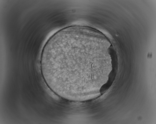 X0000102011248200808081717