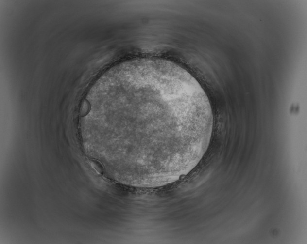 X0000102011249200808081716