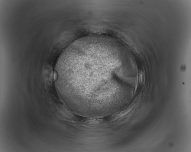 X0000102011251200808081716