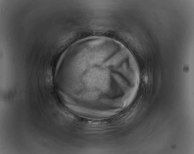 X0000102011252200808081716