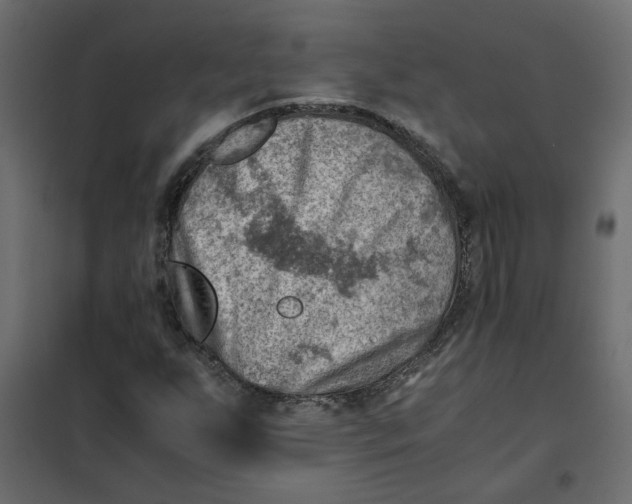 X0000102011255200808081716