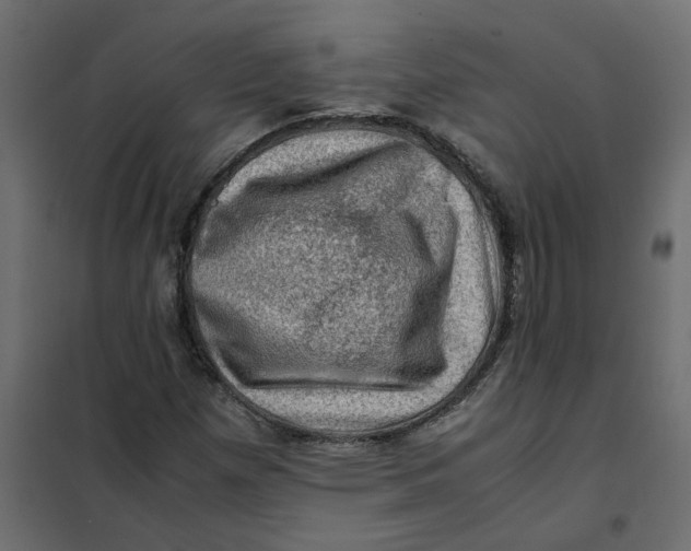 X0000102011257200808081716