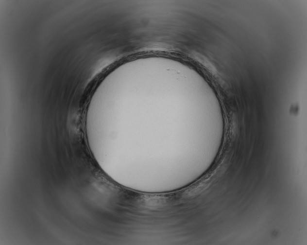 X0000102011258200808081716