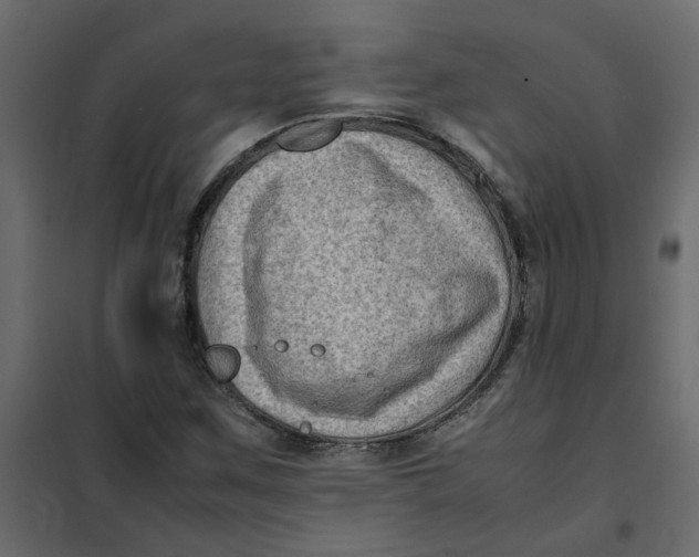 X0000102011259200808081716