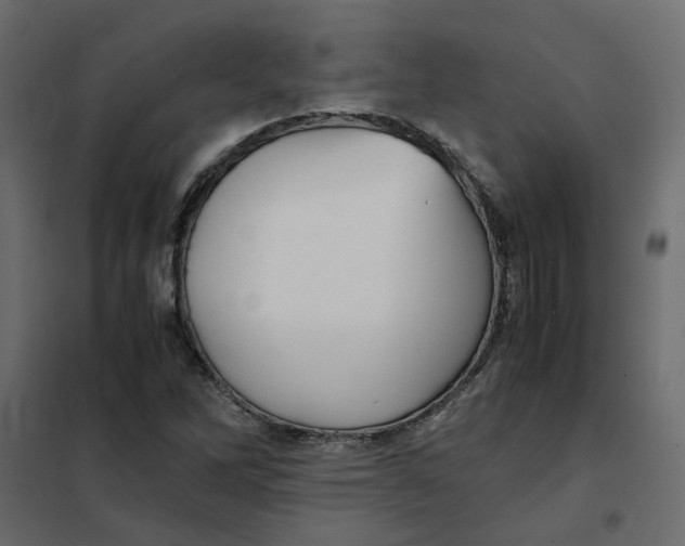 X0000102011262200808081716