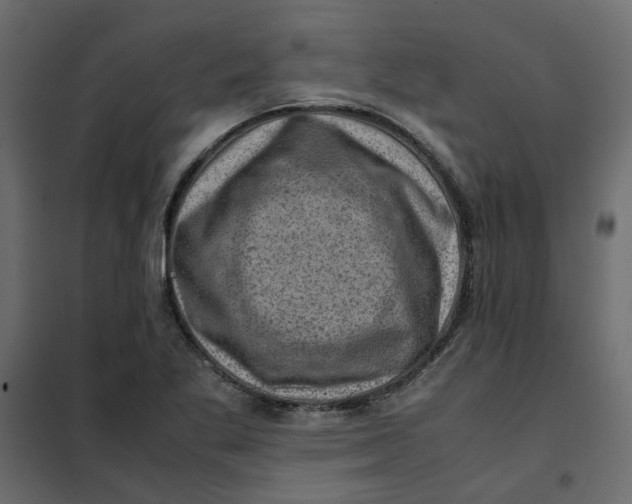 X0000102011269200808081716