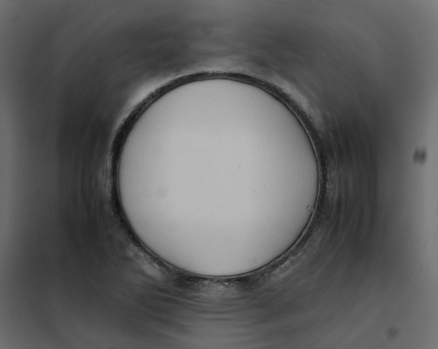 X0000102011270200808081716