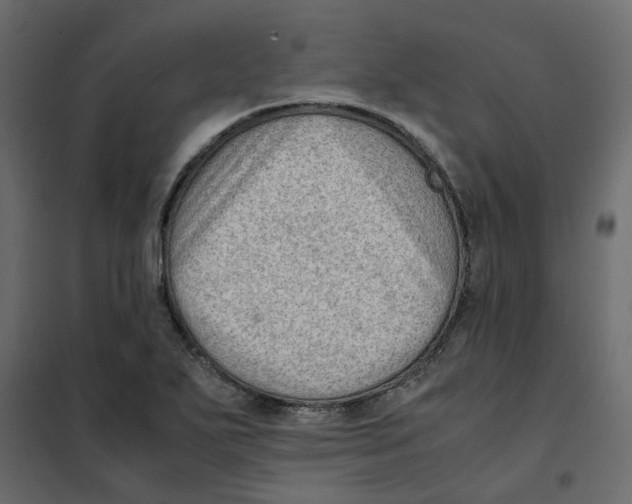 X0000102011271200808081716