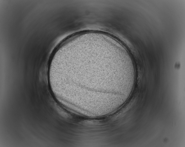 X0000102011272200808081716