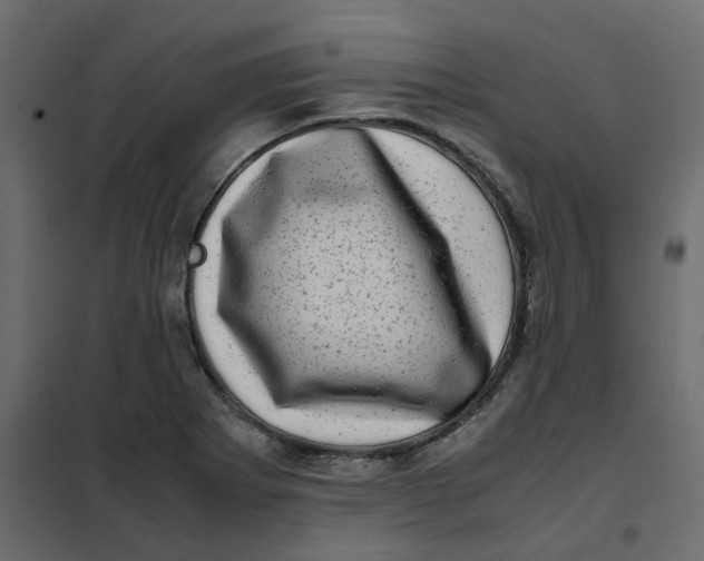 X0000102011273200808081716