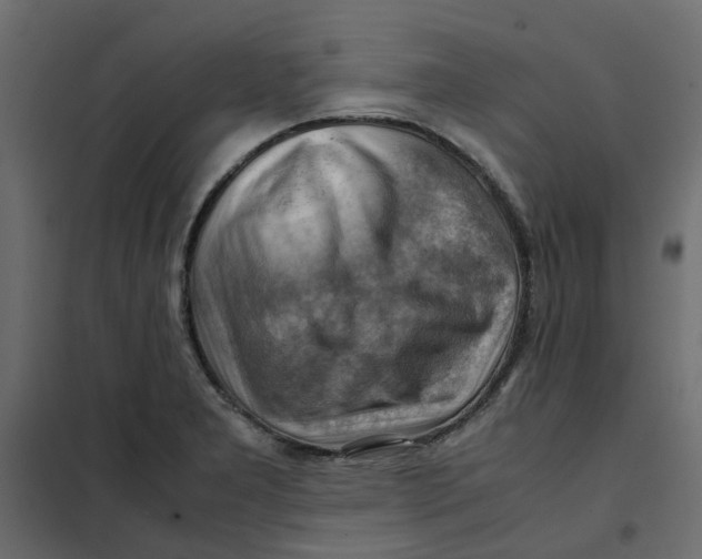 X0000102011277200808081716