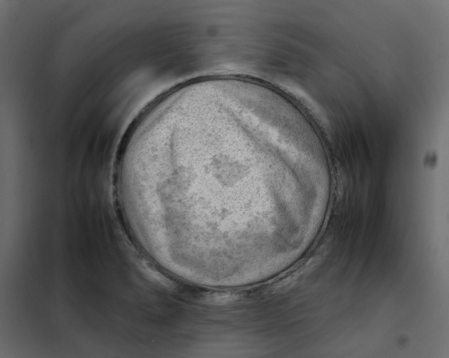 X0000102011278200808081716