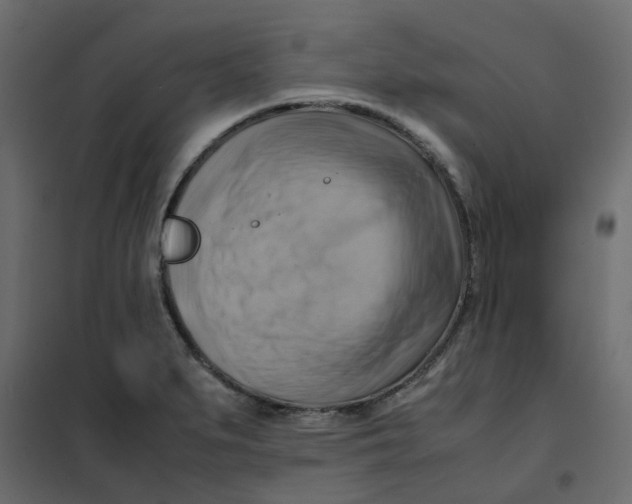 X0000102011279200808081716