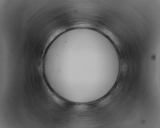 X0000102011282200808081716