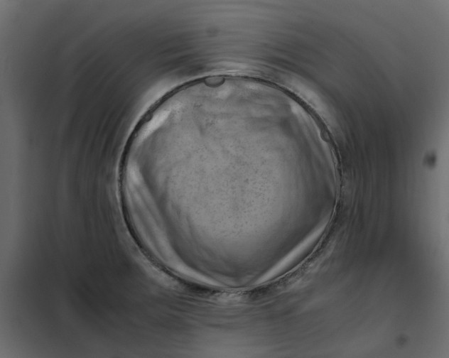 X0000102011283200808081715