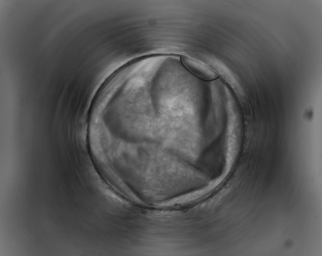 X0000102011284200808081715