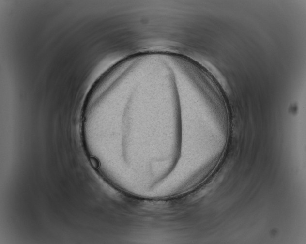 X0000102011285200808081715