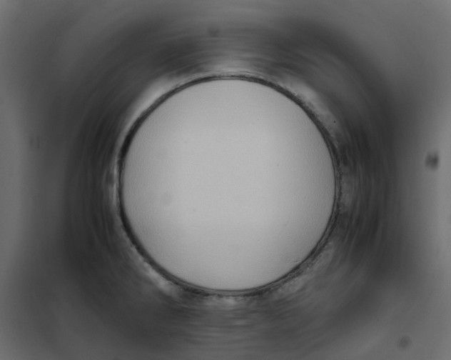 X0000102011286200808081715