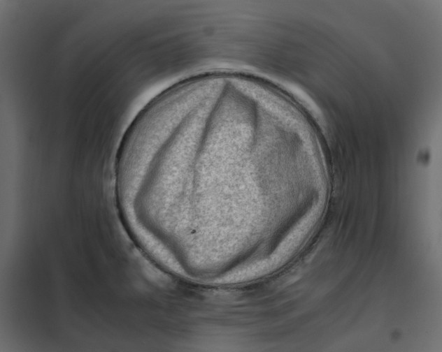 X0000102011287200808081715