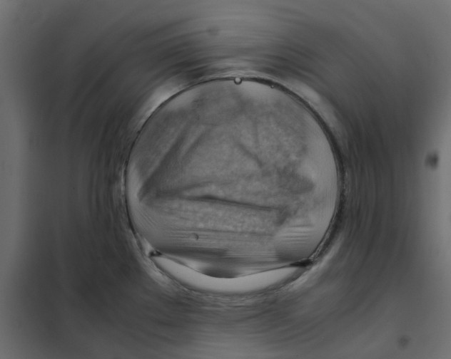 X0000102011289200808081715