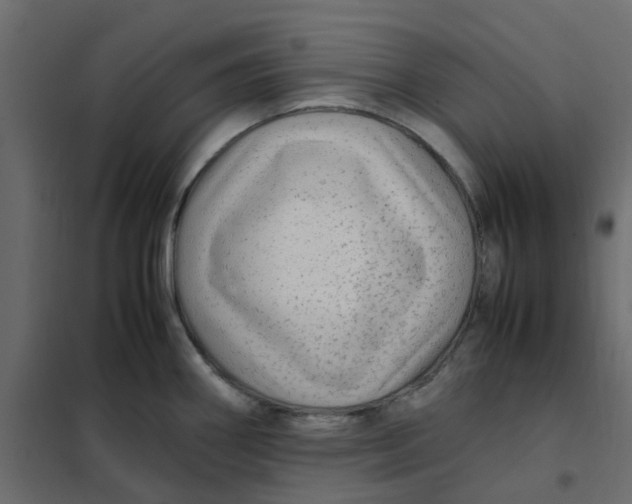 X0000102011290200808081715