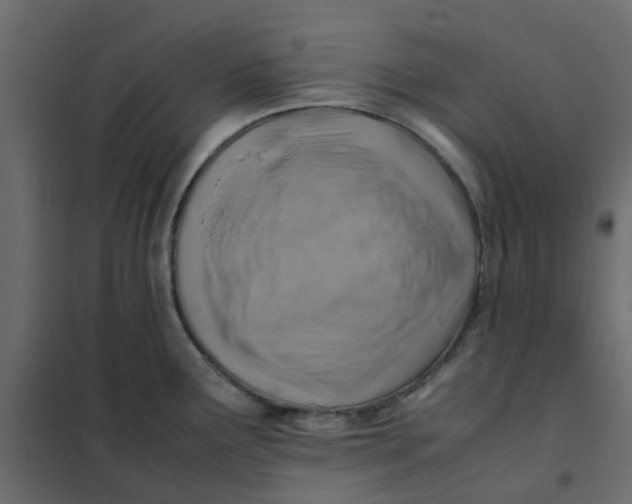 X0000102011291200808081715