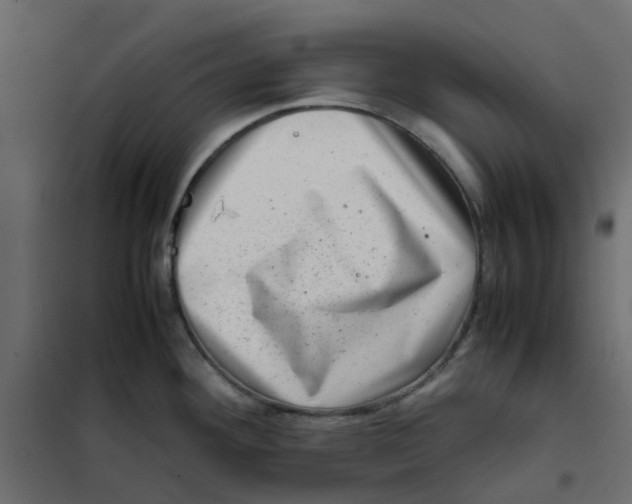 X0000102011292200808081715