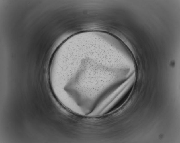 X0000102011293200808081715