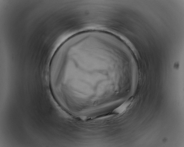 X0000102011295200808081715