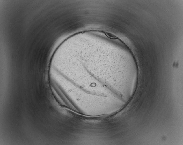 X0000102011296200808081715