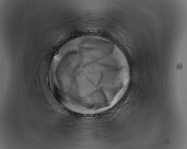 X0000102011297200808081714