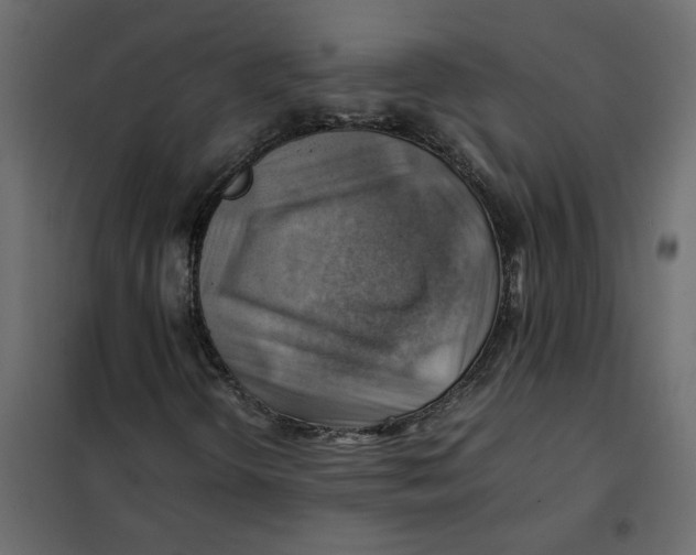 X0000102011298200808081714