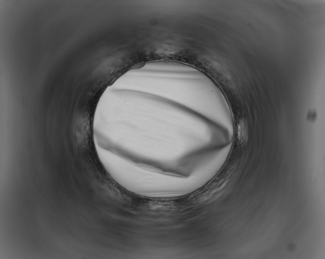 X0000102011299200808081714