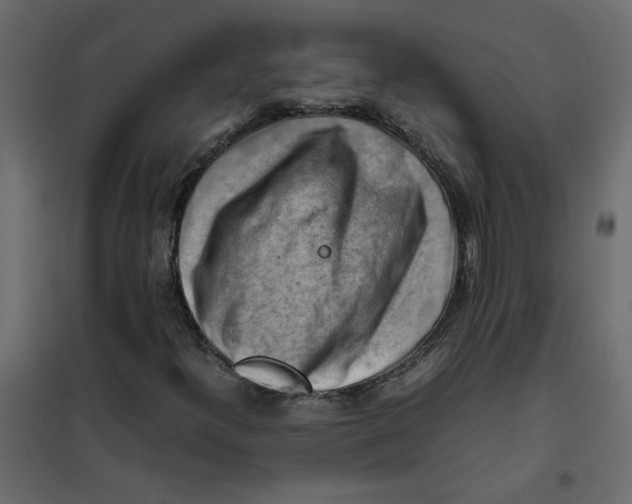 X0000102011300200808081714