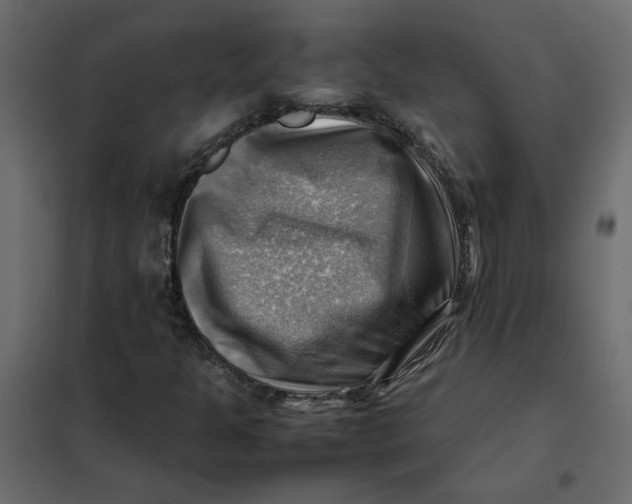 X0000102011301200808081714