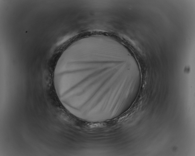 X0000102011303200808081715