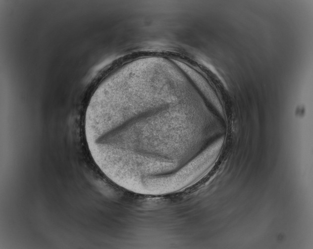 X0000102011304200808081715