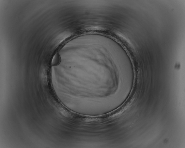 X0000102011305200808081715